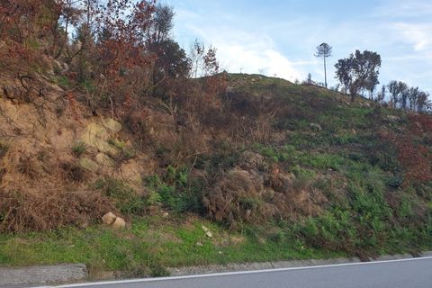 Helårsgrund i Baiao, Porto, Baiao - € 28.500 | Ref: SÒL_21 - foto 2
