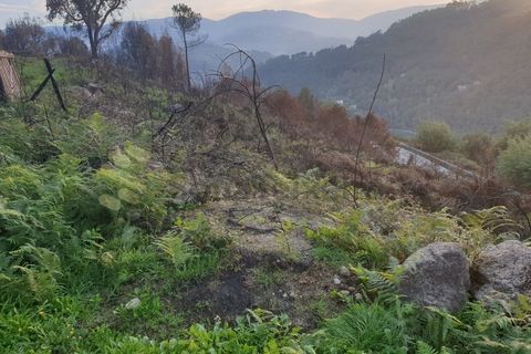 Helårsgrund i Baiao, Porto, Baiao - € 28.500 | Ref: SÒL_21 - foto 4