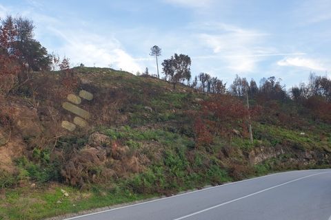 Helårsgrund i Baiao, Porto, Baiao - € 28.500 | Ref: SÒL_21 - foto 6