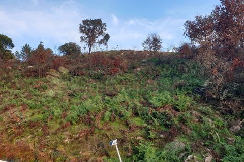 Helårsgrund i Baiao, Porto, Baiao - € 28.500 | Ref: SÒL_21 - foto 7