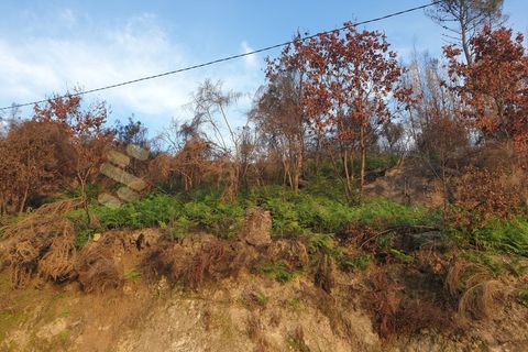 Helårsgrund i Baiao, Porto, Baiao - € 28.500 | Ref: SÒL_21 - foto 9