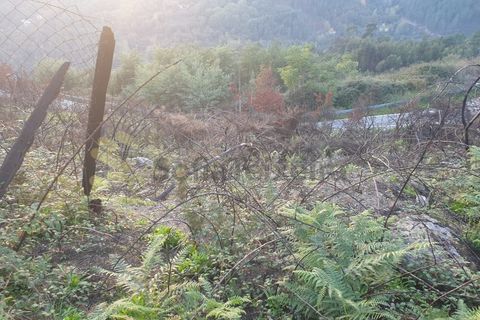 Helårsgrund i Baiao, Porto, Baiao - € 28.500 | Ref: SÒL_21 - foto 19