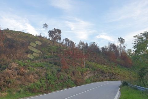 Helårsgrund i Baiao, Porto, Baiao - € 28.500 | Ref: SÒL_21 - foto 20