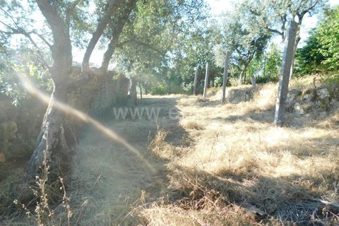 Terra a Seia, Guarda, Seia - € 18.000 | Ref: 382220127 - foto 6