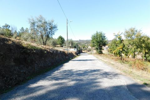 Helårsgrund i Seia, Guarda, Seia - € 25.000 | Ref: 382220124 - foto 2