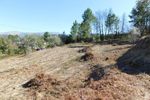 Helårsgrund i Seia, Guarda, Seia - € 25.000 | Ref: 382220124 - foto 3