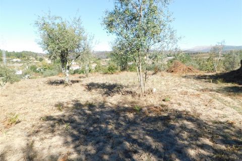 Helårsgrund i Seia, Guarda, Seia - € 25.000 | Ref: 382220124 - foto 4