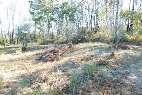Helårsgrund i Seia, Guarda, Seia - € 25.000 | Ref: 382220124 - foto 5
