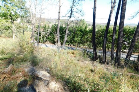 Helårsgrund i Seia, Guarda, Seia - € 25.000 | Ref: 382220124 - foto 7