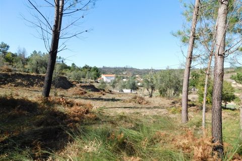 Helårsgrund i Seia, Guarda, Seia - € 25.000 | Ref: 382220124 - foto 9