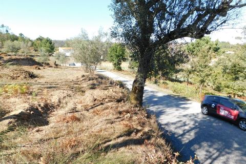 Helårsgrund i Seia, Guarda, Seia - € 25.000 | Ref: 382220124 - foto 10