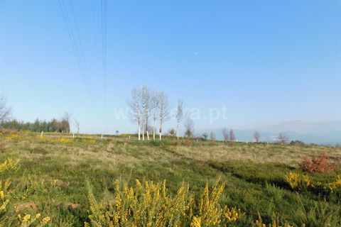 Helårsgrund i Seia, Guarda, Seia - € 6.500 | Ref: 382220098 - foto 2