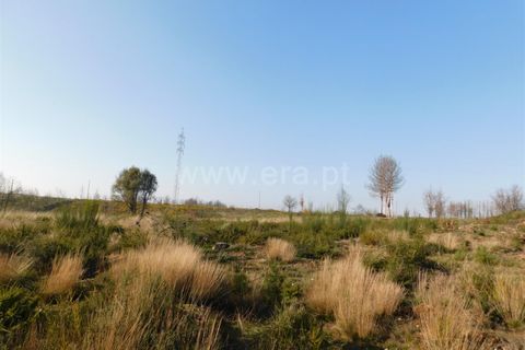 Helårsgrund i Seia, Guarda, Seia - € 6.500 | Ref: 382220098 - foto 3