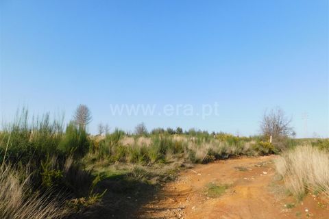 Helårsgrund i Seia, Guarda, Seia - € 6.500 | Ref: 382220098 - foto 4