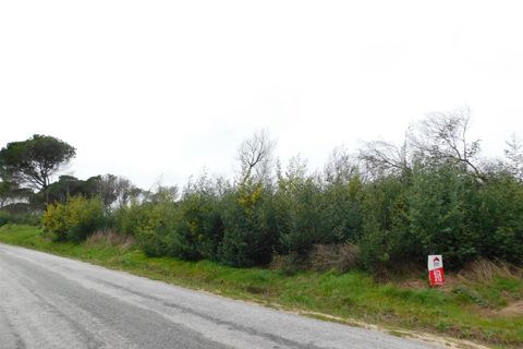 Terra a Gouveia, Guarda, Gouveia - € 10.000 | Ref: 382220157 - foto 2