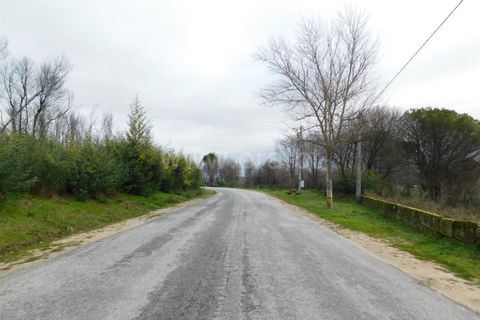 Terra a Gouveia, Guarda, Gouveia - € 10.000 | Ref: 382220157 - foto 3