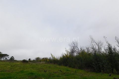 Terra a Gouveia, Guarda, Gouveia - € 10.000 | Ref: 382220157 - foto 4