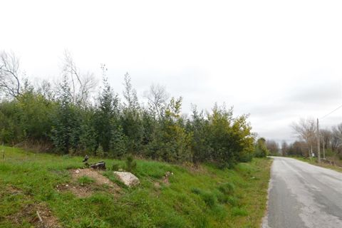 Terra a Gouveia, Guarda, Gouveia - € 10.000 | Ref: 382220157 - foto 5