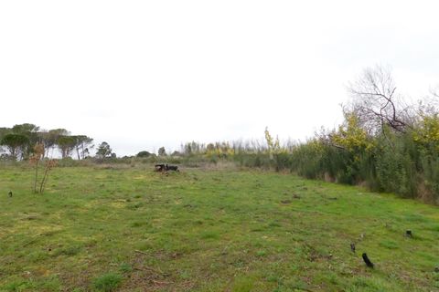 Terra a Gouveia, Guarda, Gouveia - € 10.000 | Ref: 382220157 - foto 6