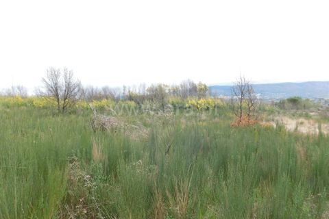 Terra a Gouveia, Guarda, Gouveia - € 10.000 | Ref: 382220157 - foto 7