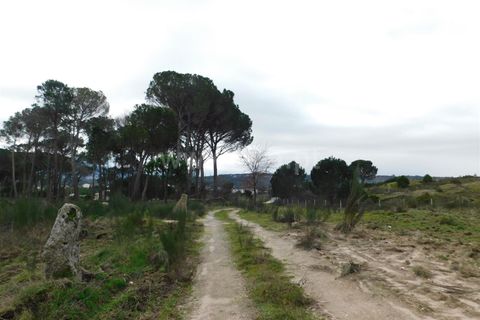 Terra a Gouveia, Guarda, Gouveia - € 10.000 | Ref: 382220157 - foto 8