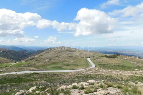Terreno en Seia, Guarda, Seia - € 25.000 | Ref: 382220101 - photo 2