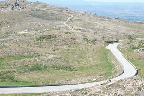 Terreno en Seia, Guarda, Seia - € 25.000 | Ref: 382220101 - photo 3