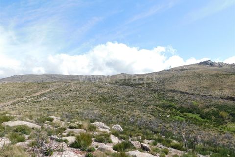 Terreno en Seia, Guarda, Seia - € 25.000 | Ref: 382220101 - photo 5