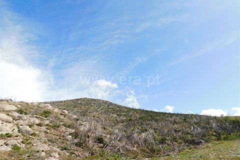 Terreno en Seia, Guarda, Seia - € 25.000 | Ref: 382220101 - photo 6