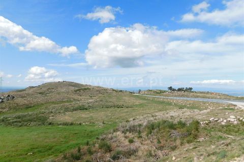 Terreno en Seia, Guarda, Seia - € 25.000 | Ref: 382220101 - photo 7