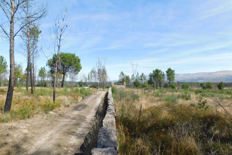 Terra a Seia, Guarda, Seia - € 27.000 | Ref: 382220140 - foto 2