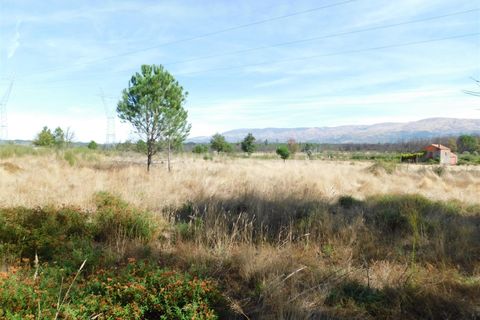 Terra a Seia, Guarda, Seia - € 27.000 | Ref: 382220140 - foto 4