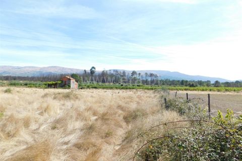 Terra a Seia, Guarda, Seia - € 27.000 | Ref: 382220140 - foto 5