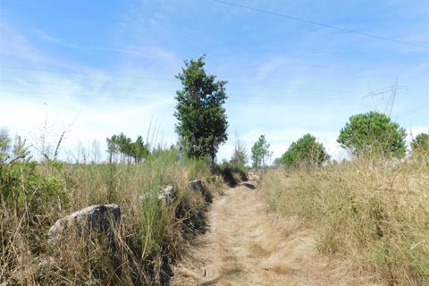 Terra a Seia, Guarda, Seia - € 27.000 | Ref: 382220140 - foto 6