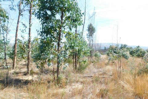 Terra a Seia, Guarda, Seia - € 27.000 | Ref: 382220140 - foto 9