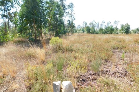 Terra a Seia, Guarda, Seia - € 27.000 | Ref: 382220140 - foto 10