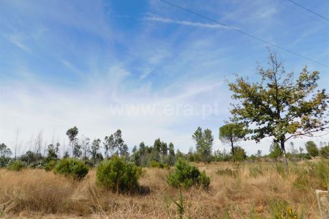 Terra a Seia, Guarda, Seia - € 27.000 | Ref: 382220140 - foto 13