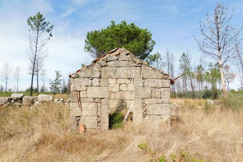Terra a Seia, Guarda, Seia - € 27.000 | Ref: 382220140 - foto 14