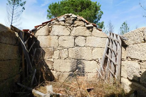 Terra a Seia, Guarda, Seia - € 27.000 | Ref: 382220140 - foto 16