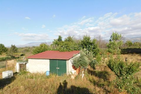Tomt i Seia, Guarda, Seia - € 20 000 | Ref: 382220132 - foto 2