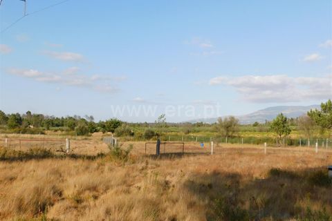 Tomt i Seia, Guarda, Seia - € 20 000 | Ref: 382220132 - foto 3