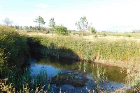 Tomt i Seia, Guarda, Seia - € 20 000 | Ref: 382220132 - foto 6