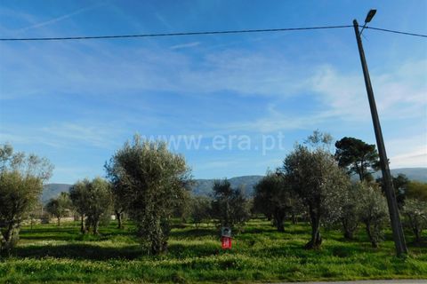 Terra a Gouveia, Guarda, Gouveia - € 13.000 | Ref: 382220178 - foto 4