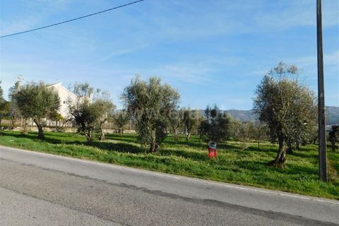 Terra a Gouveia, Guarda, Gouveia - € 13.000 | Ref: 382220178 - foto 5