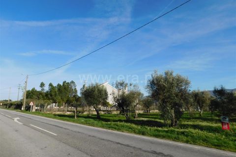 Terra a Gouveia, Guarda, Gouveia - € 13.000 | Ref: 382220178 - foto 6
