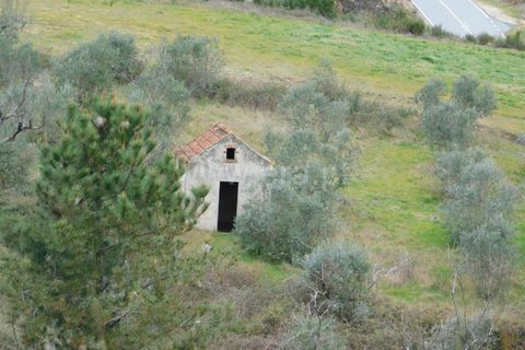 Helårsgrund i Seia, Guarda, Seia - € 10.000 | Ref: 382220184 - foto 2