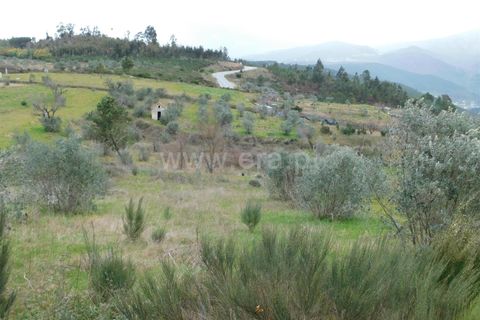 Helårsgrund i Seia, Guarda, Seia - € 10.000 | Ref: 382220184 - foto 3