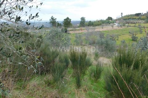 Helårsgrund i Seia, Guarda, Seia - € 10.000 | Ref: 382220184 - foto 4