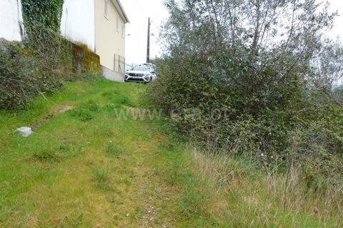 Helårsgrund i Seia, Guarda, Seia - € 10.000 | Ref: 382220184 - foto 5