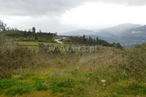 Helårsgrund i Seia, Guarda, Seia - € 10.000 | Ref: 382220184 - foto 7